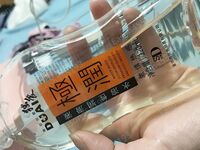 《台湾情侣泄密》漂亮小猫咪和男友之间的私密视讯被曝光 “你要负责哦”